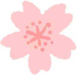 さくら